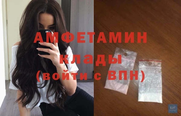 мет Алексин