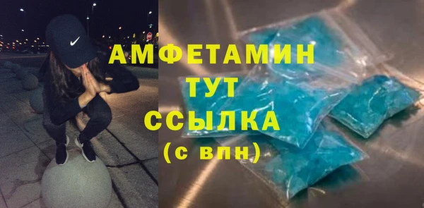 мет Алексин