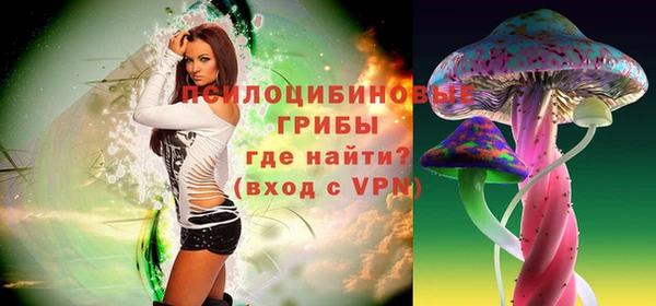 твердый Алзамай