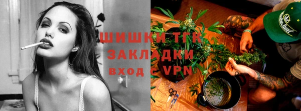 твердый Алзамай